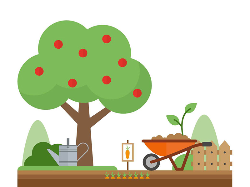 Investeren in volkstuinen, schooltuinen en stadslandbouw